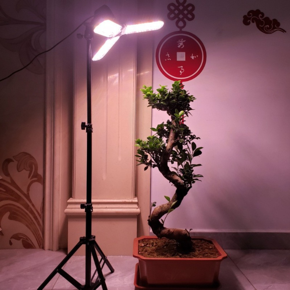 ขาตั้งหลอดไฟ 2 เมตร, ขั้วหลอดไ - Lighting In Photography Studio บทวิจารณ์และราคา